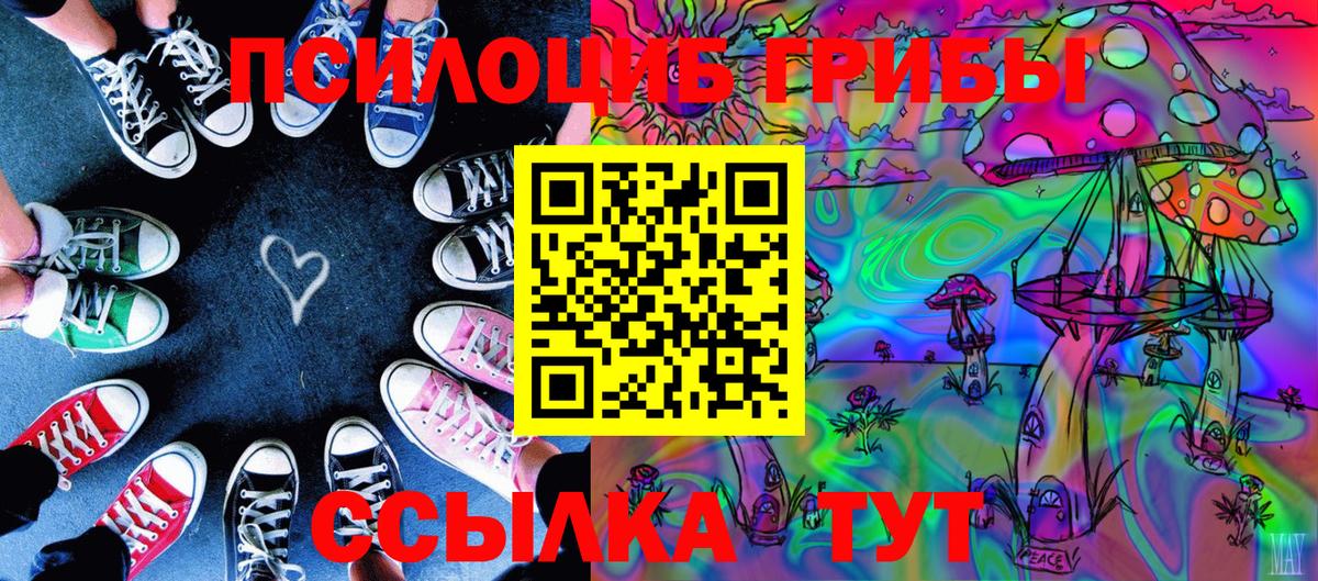 Дмитров  Галлюциногенные грибы Psilocybe  Вход с VPN  Галлюциногенные грибы мухоморы 